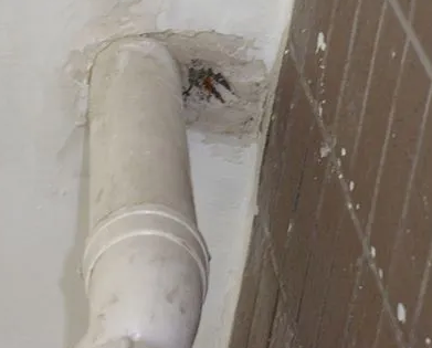 武乡漏水检测哪家好